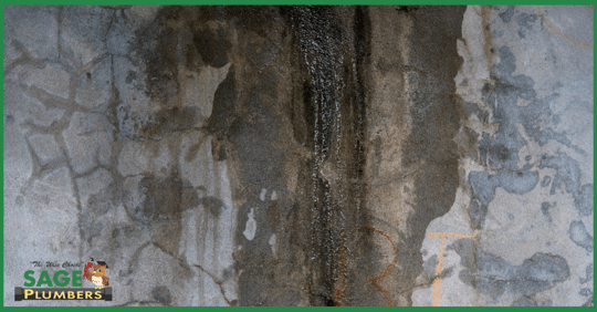 How to tell if you have a slab leak. This picture shows a slab leak in the foundation/concrete.